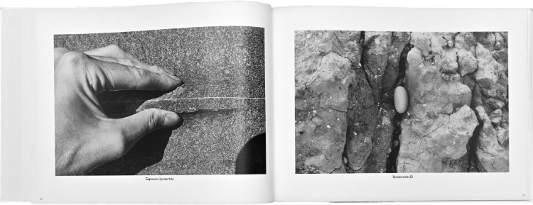 Künstlerbuch »Møns Klint«: Größe 42 x 30 cm, Hardcover, 68 Seiten, 58 Photographien in schwarz-weiß , 2015